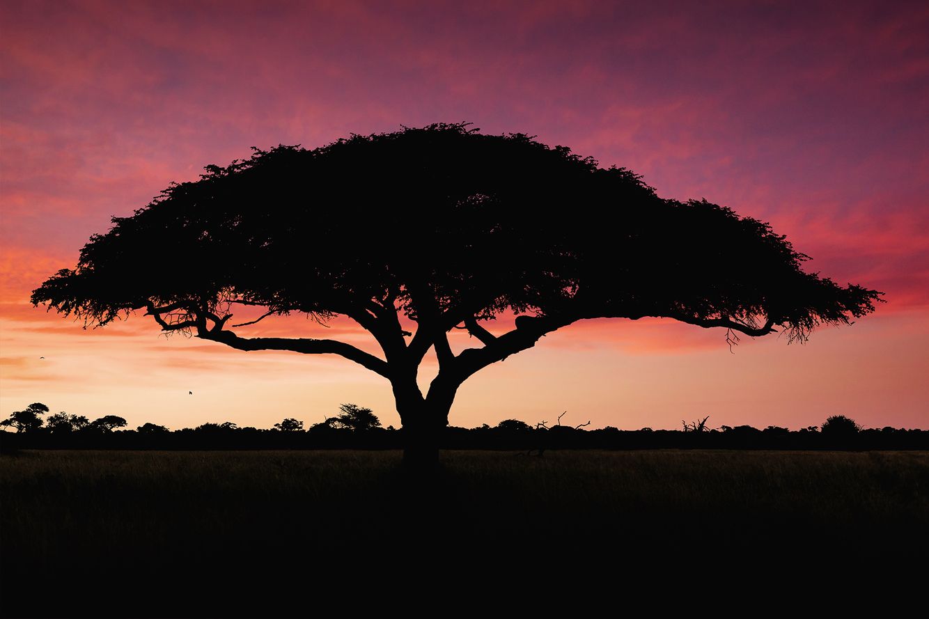 Opelika Alabama Commercial Photographer