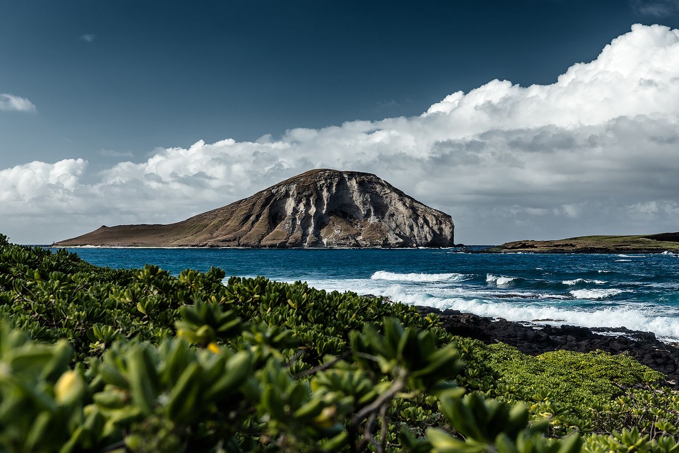 Auburn Alabama Commercial Photographer