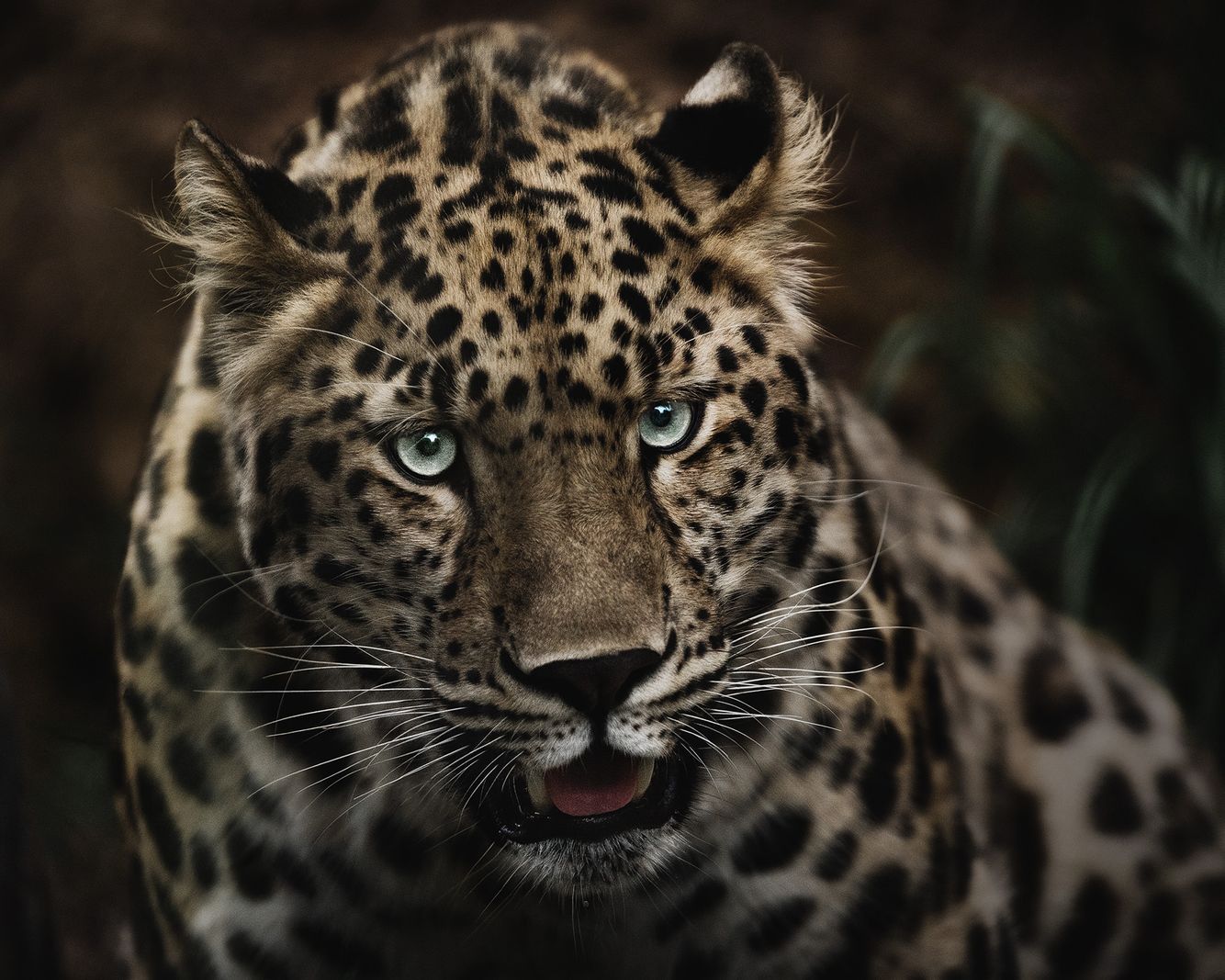 Opelika Alabama Commercial Photographer