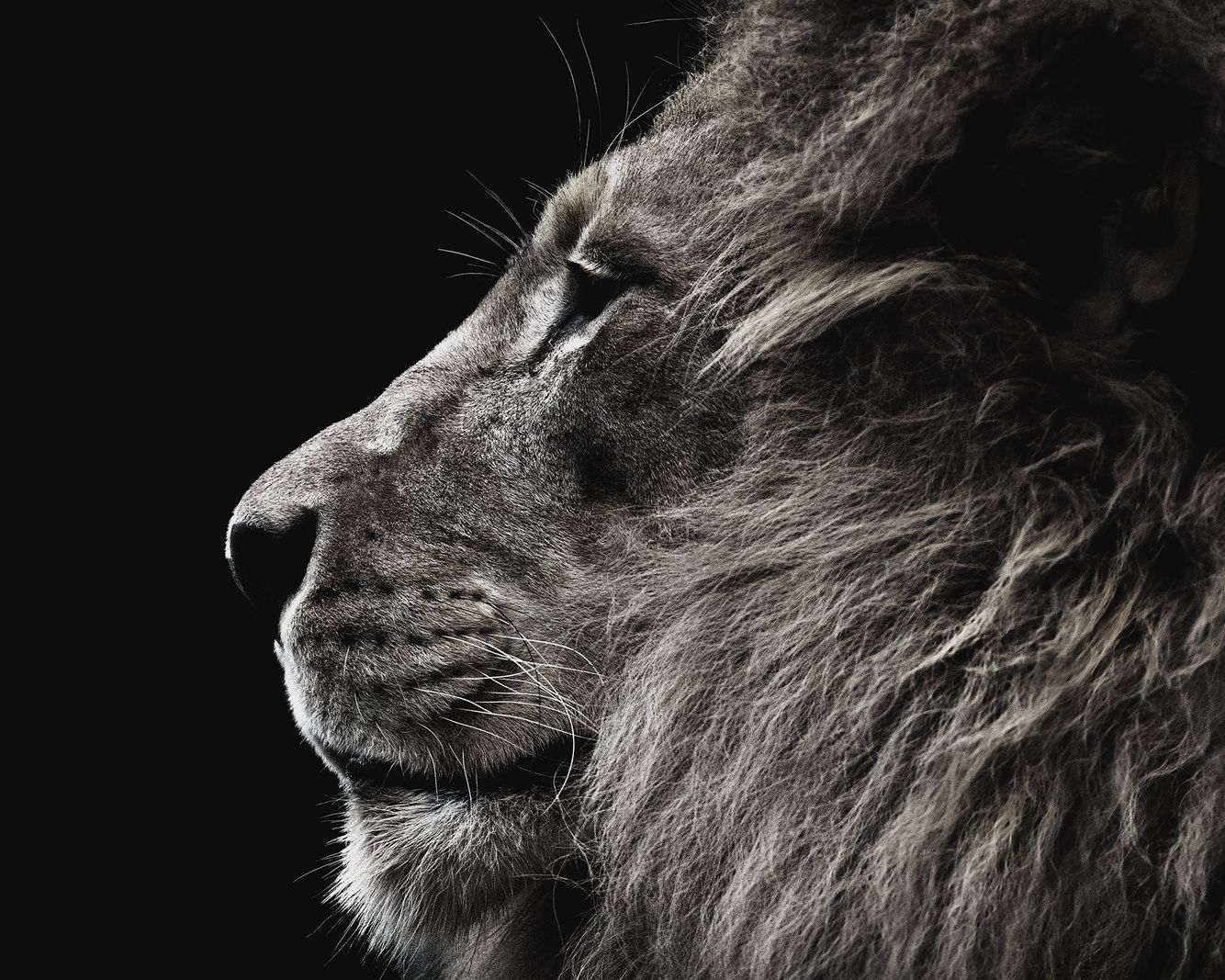 Opelika Alabama Commercial Photographer