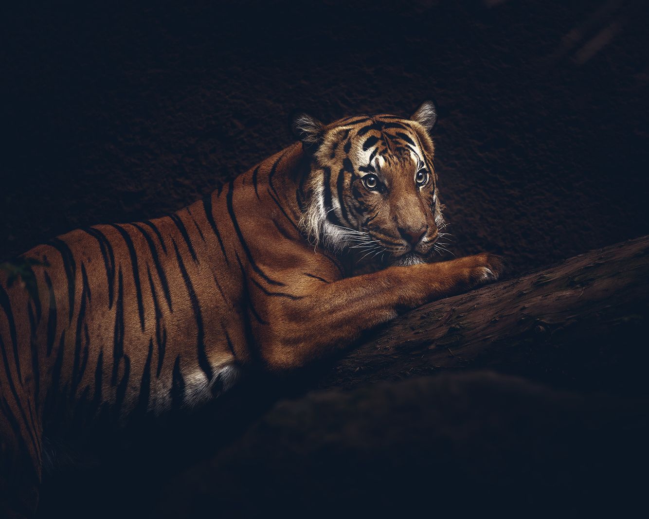 Opelika Alabama Commercial Photographer