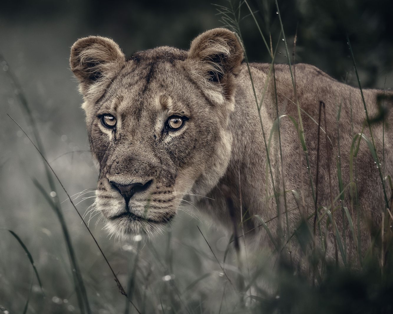 Opelika Alabama Commercial Photographer