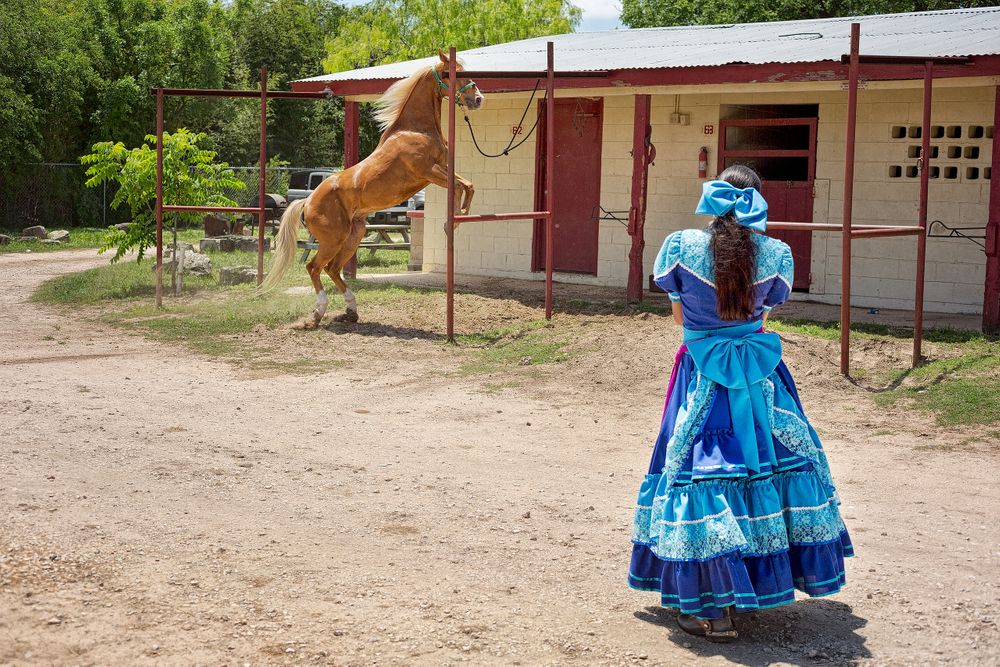 Charro406.jpg