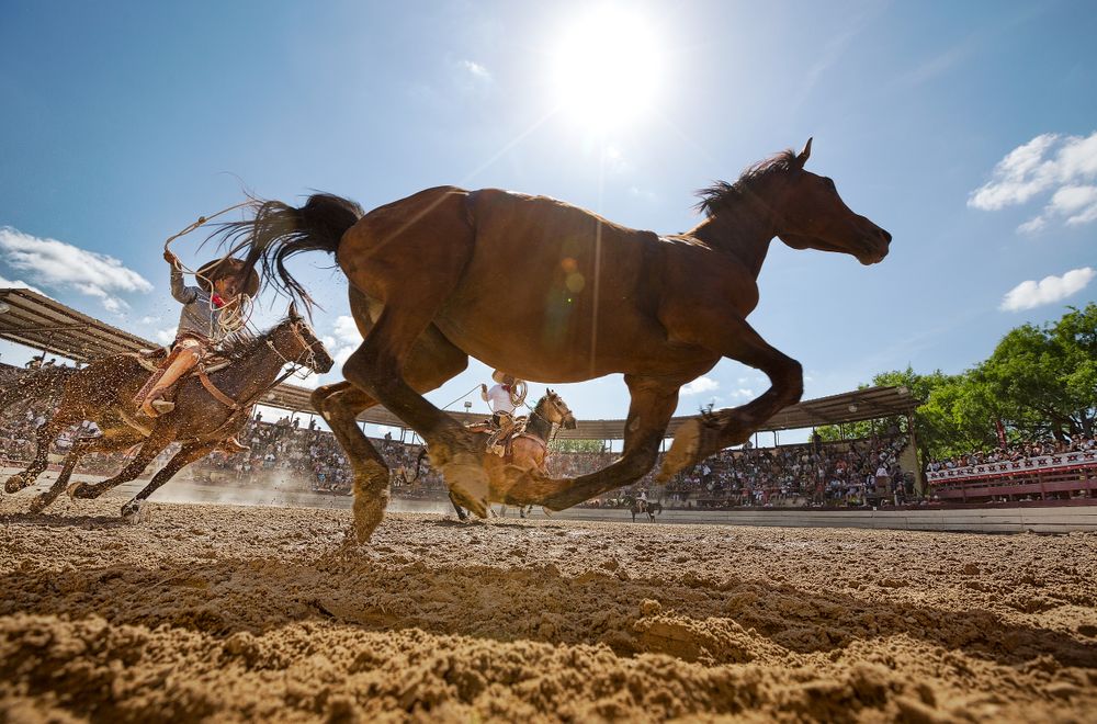 Charro738.jpg