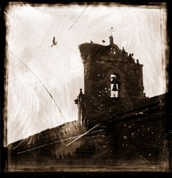 Collection21.jpg