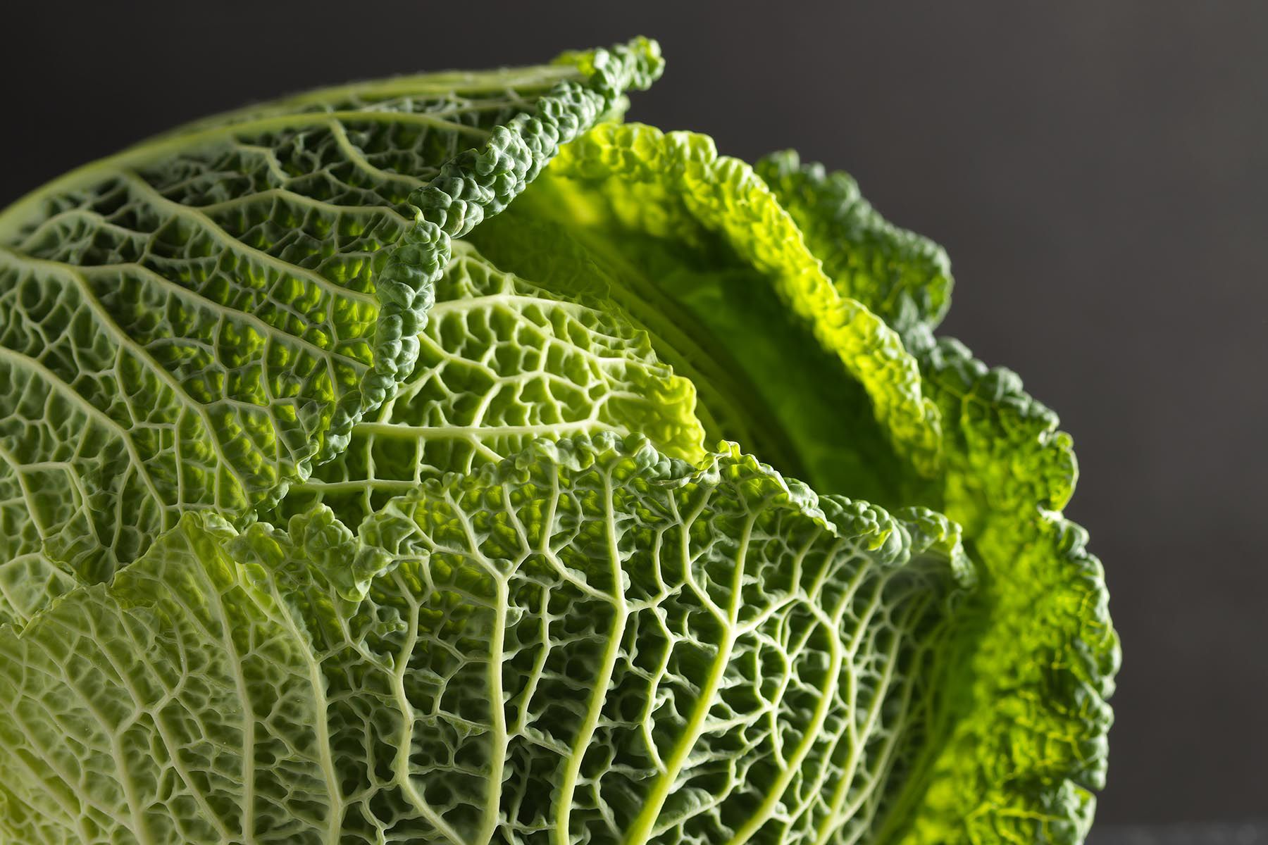Savoy cabbage .jpg