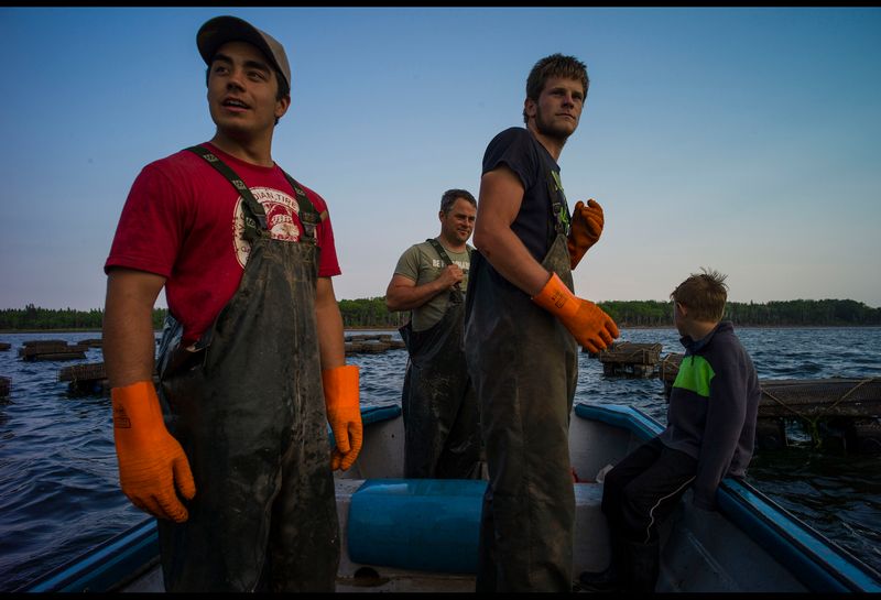 20150611 OYSTER FARMING CJX15.JPG