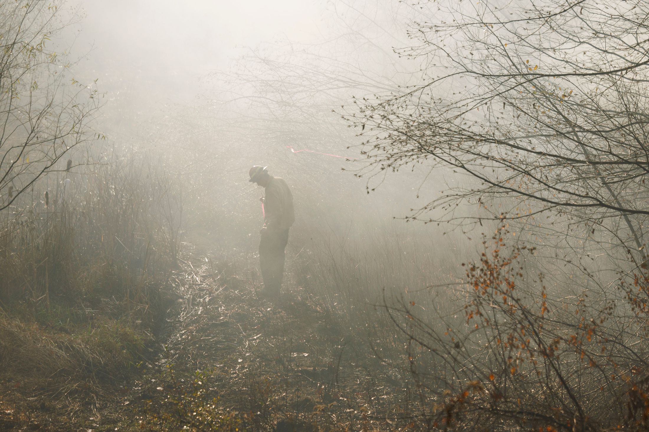 20241107 NEWS USA WILDFIRE MASSACHUSETTS 1147.JPG