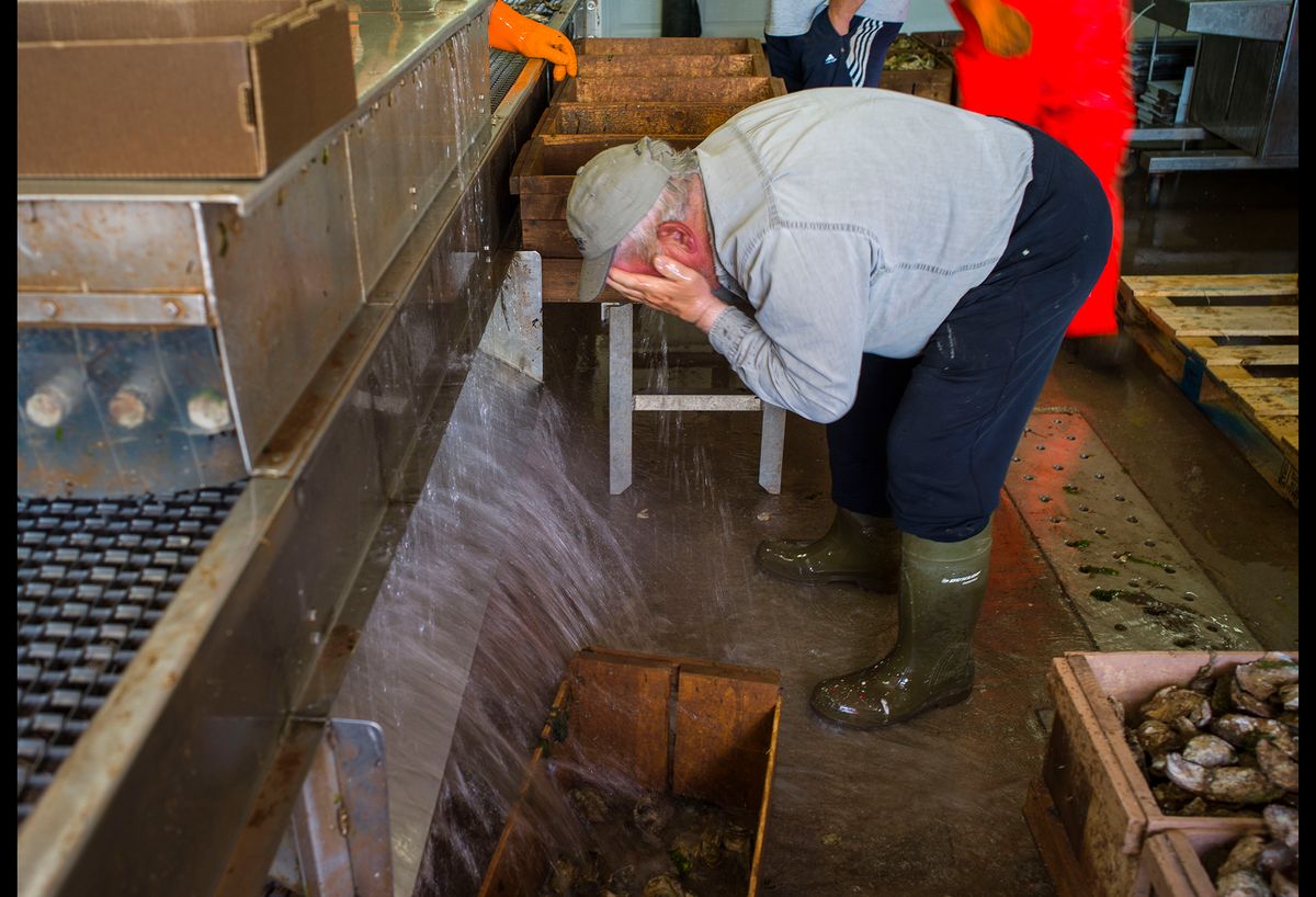 20150610 OYSTER FARMING CJX07.JPG