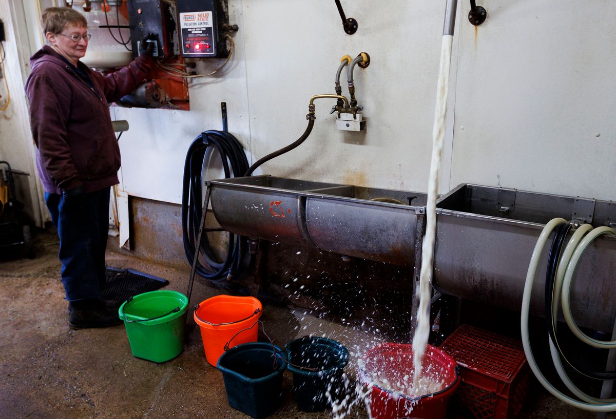 20230307 PFAS CONTAMINATED DAIRY FARM 02.JPG