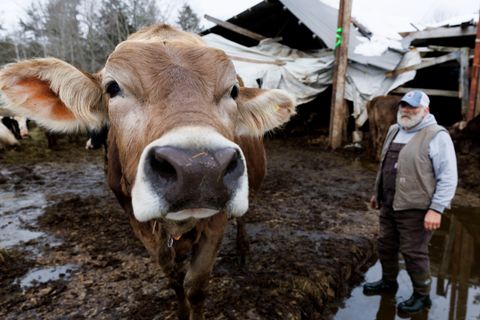 20230307 PFAS CONTAMINATED DAIRY FARM 04.JPG