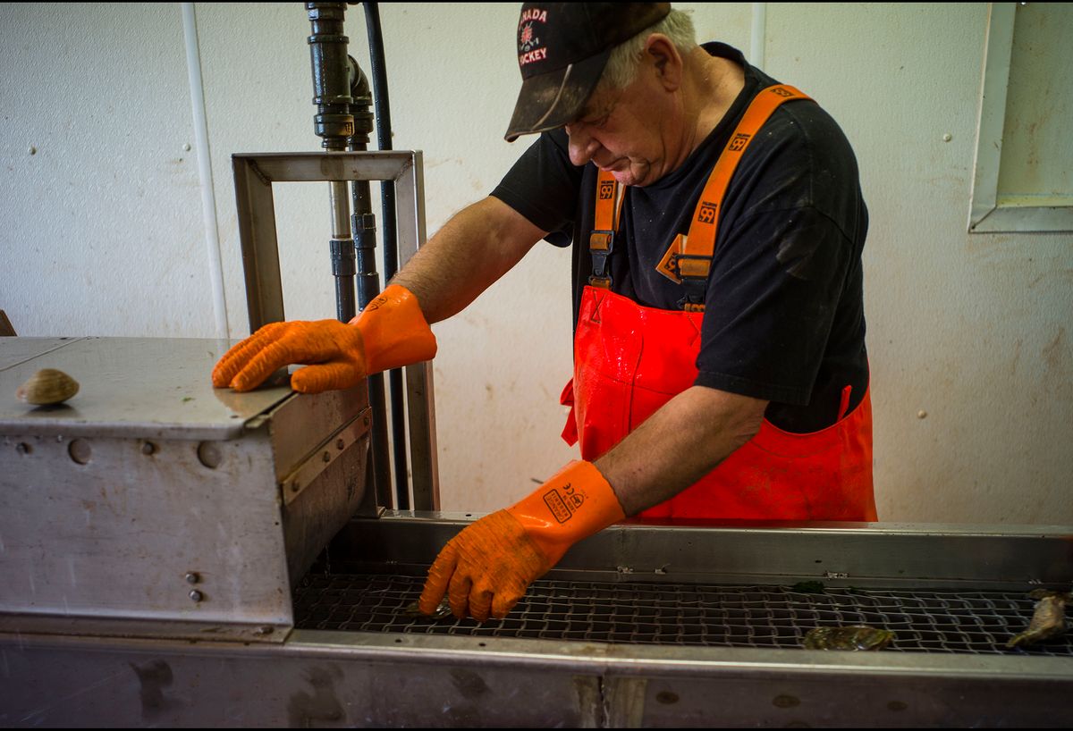 20150610 OYSTER FARMING CJX05.JPG