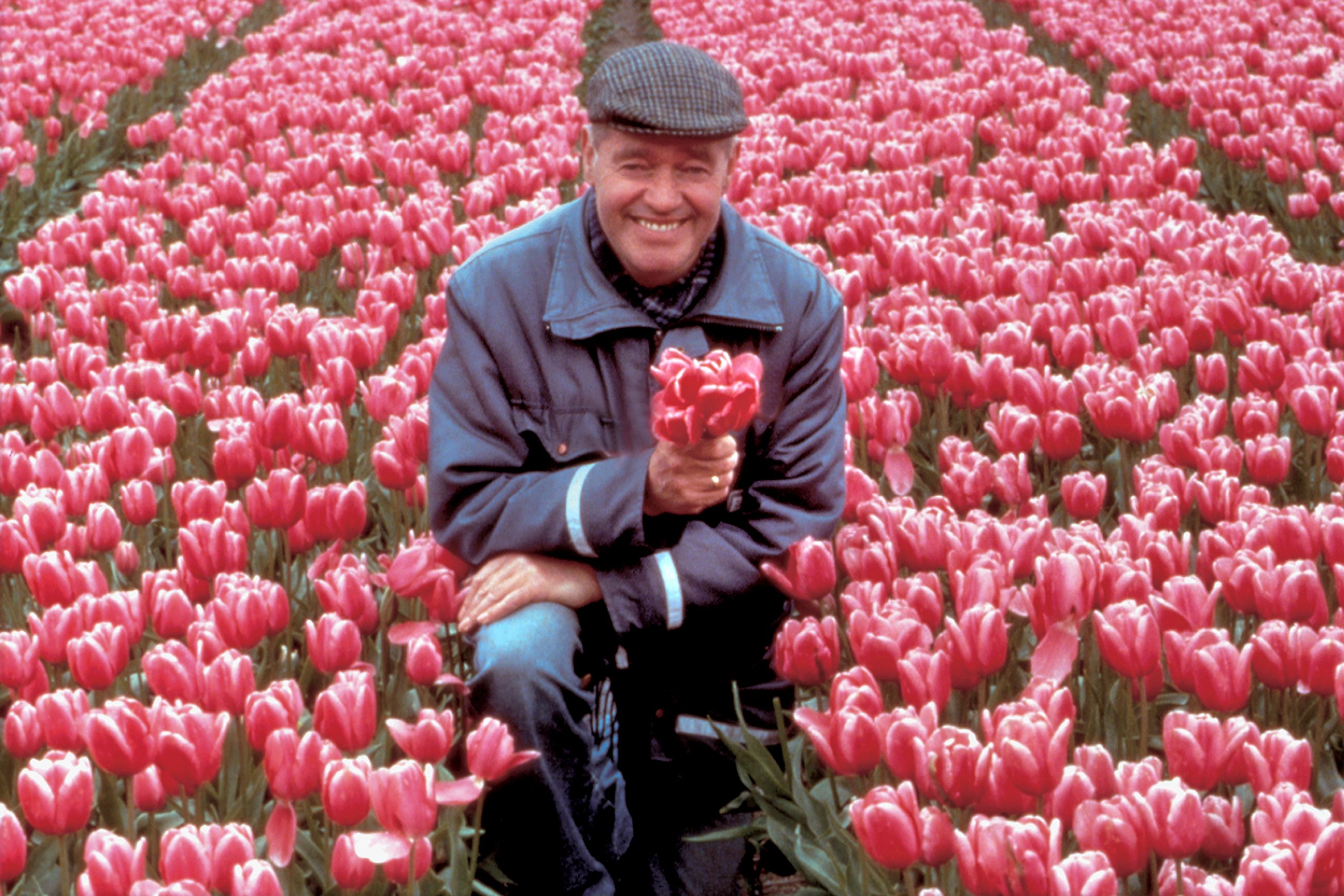 Netherlands -R04001.jpg