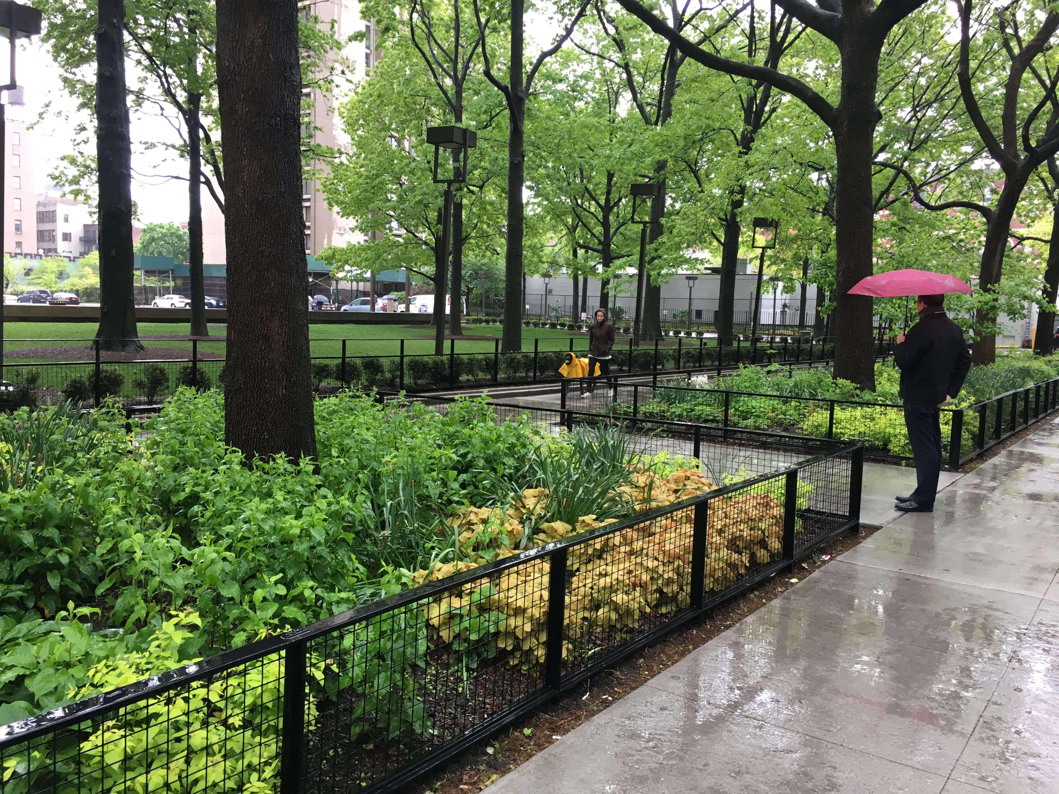 Bleecker Street Plaza at Silver Towers