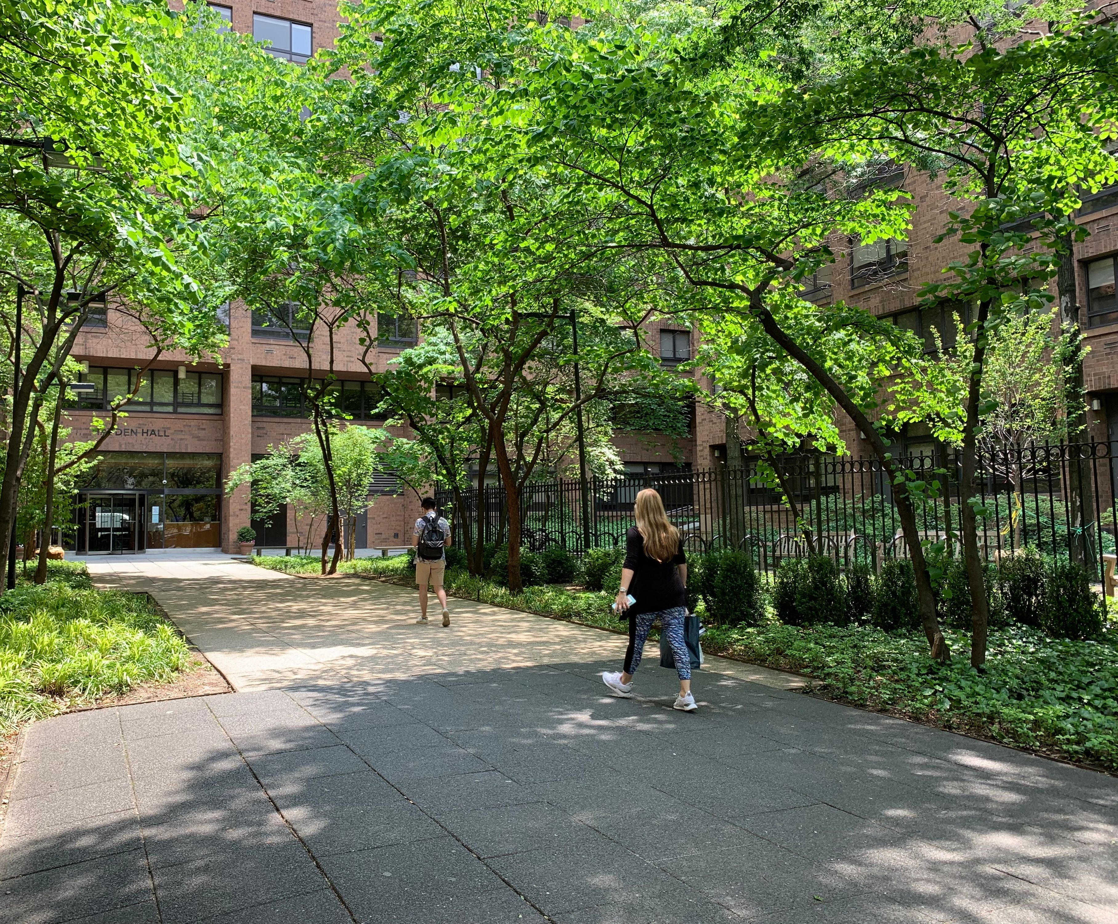 NYU Law School  Residence - Entry Plaza