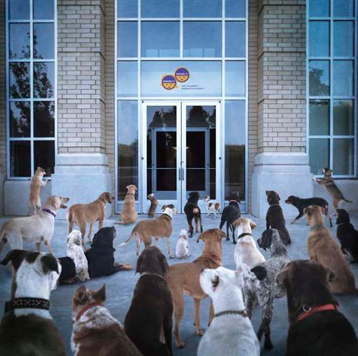 Consumer billboard and magazine ad announcing the installation of the southeast's largest dinosaur bone exhibit. Atlanta Children's Museum/Cole Henderson Drake