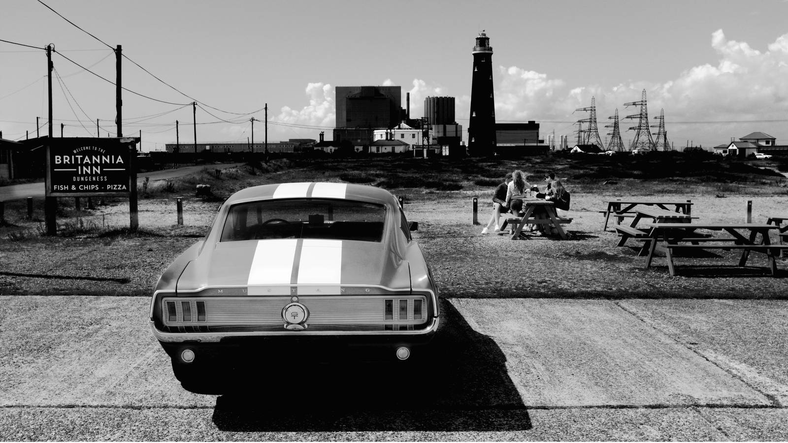 Mustang in Dungeness