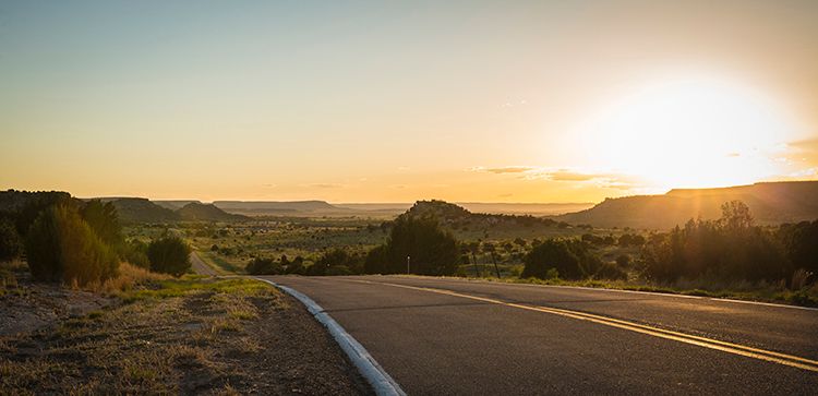 Hoot Owl 0499 lo res.jpg