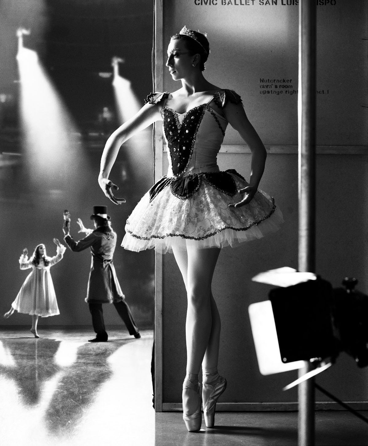 1civic_nut_31279_new_typef2alight