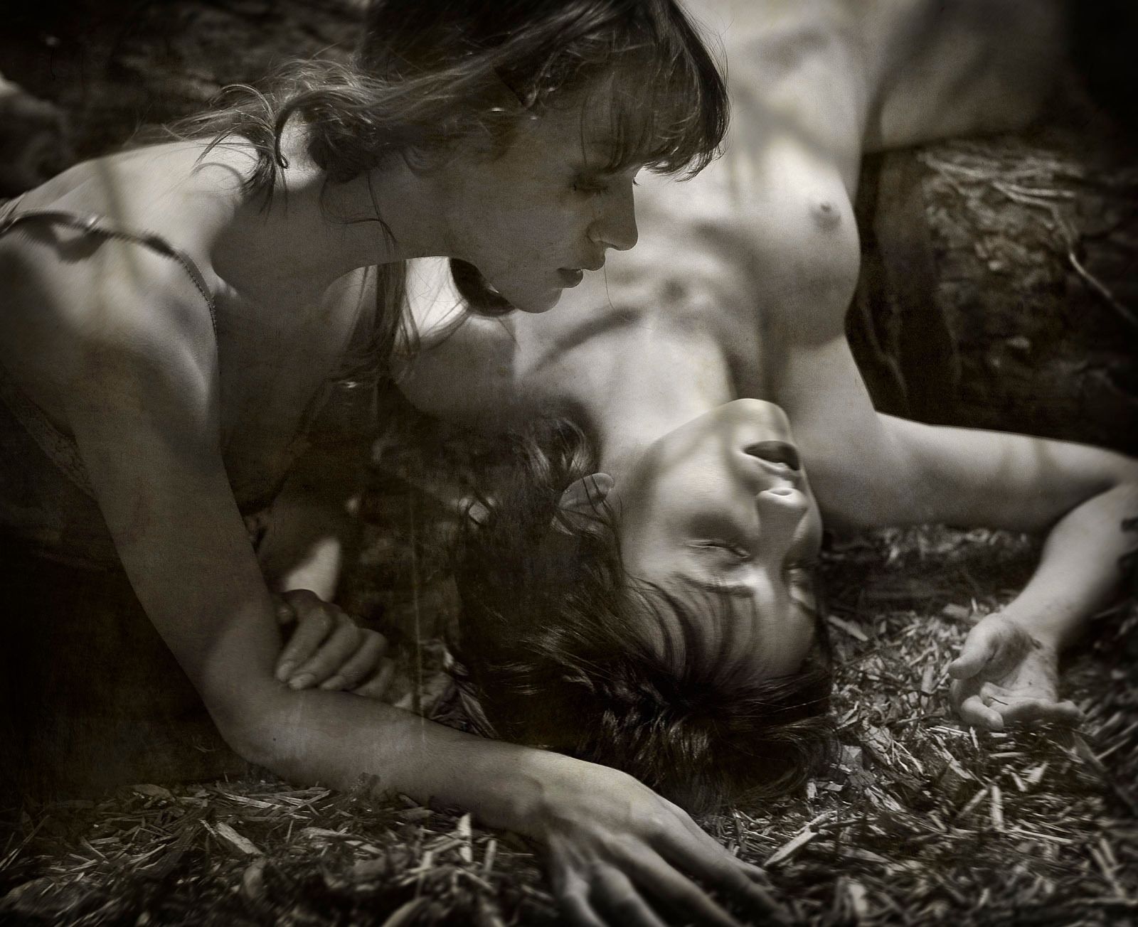 1the_fall_smpp_final_large_dark_print_pss