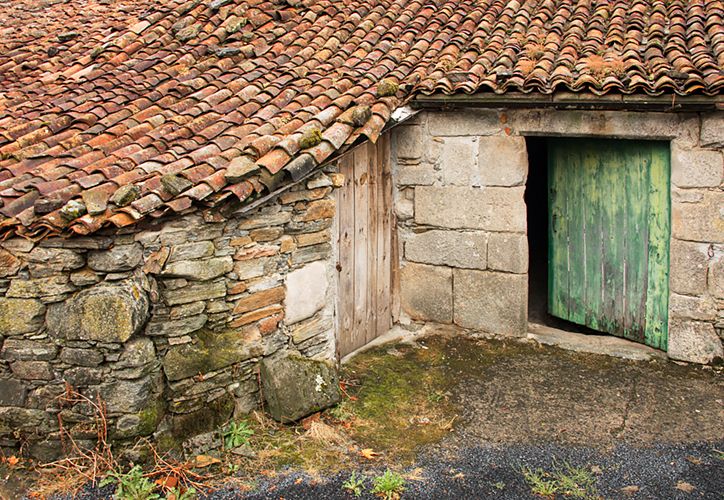Green Door Shed