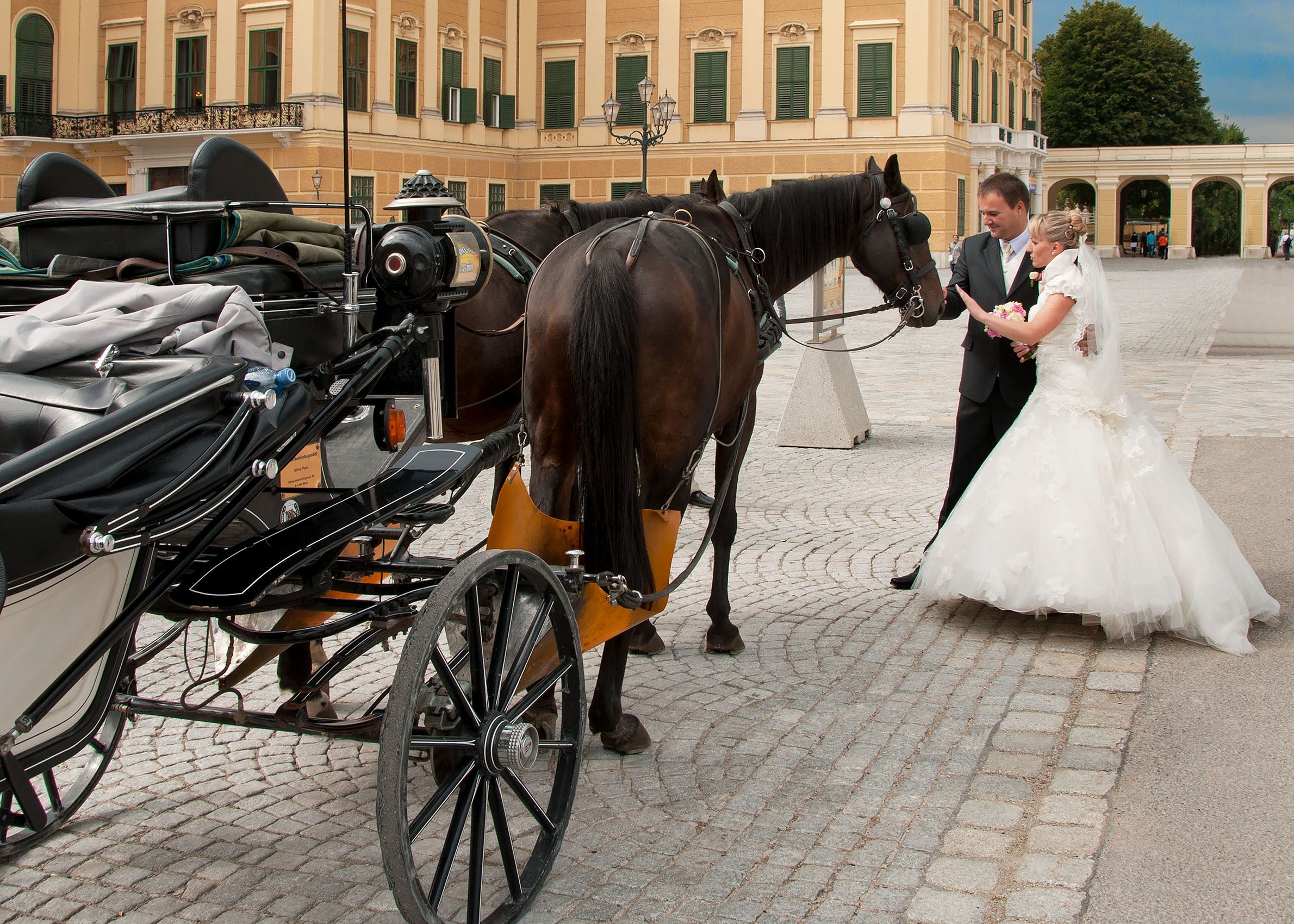 Vienna Wedding