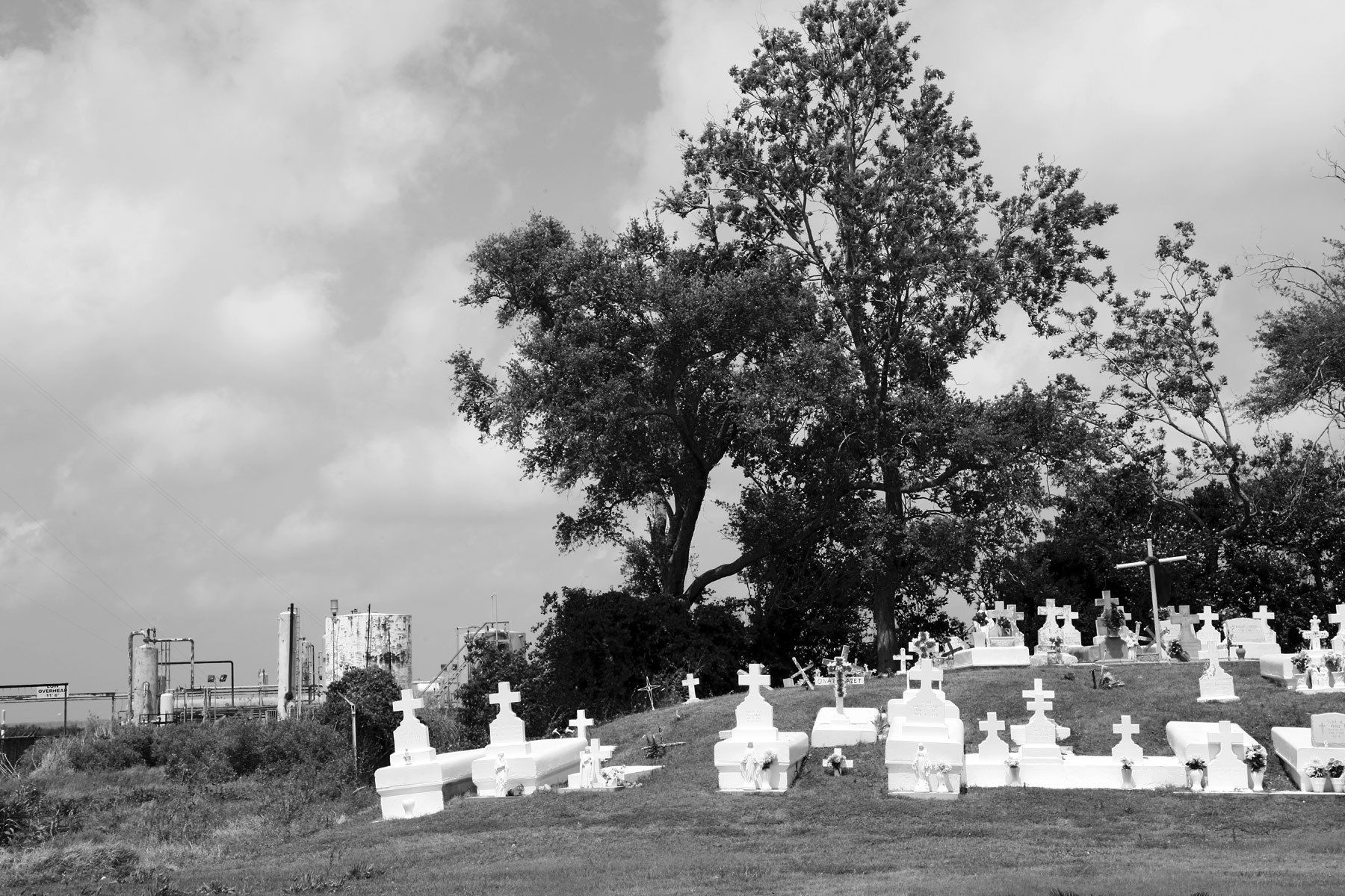 Indian Burial Mound and Cemetery, near Bayou Little Caillou, 2011