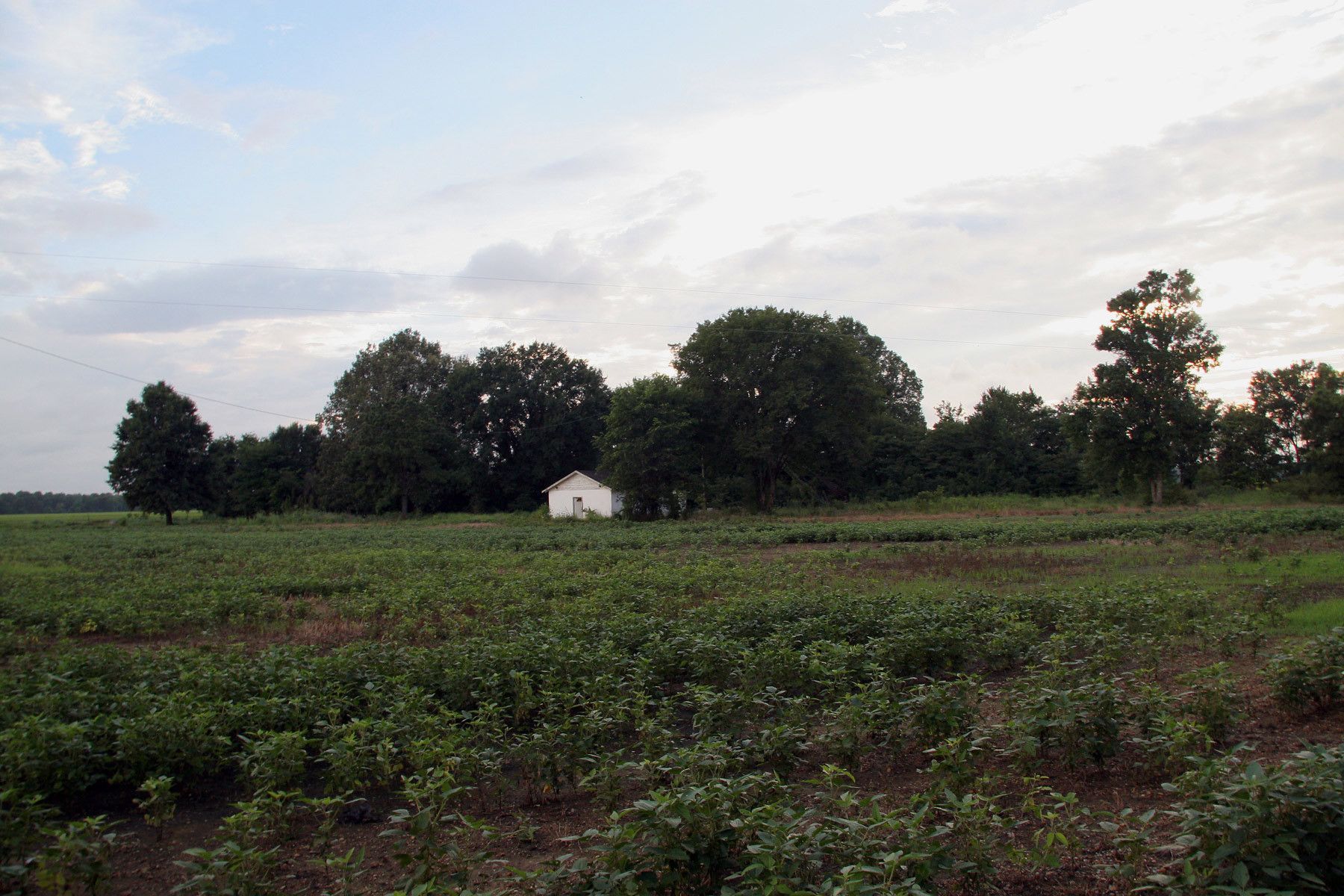 1mose_wright_s_church