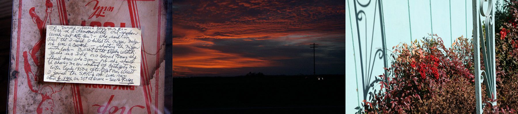 Delta Devolution Theory #1, 2010