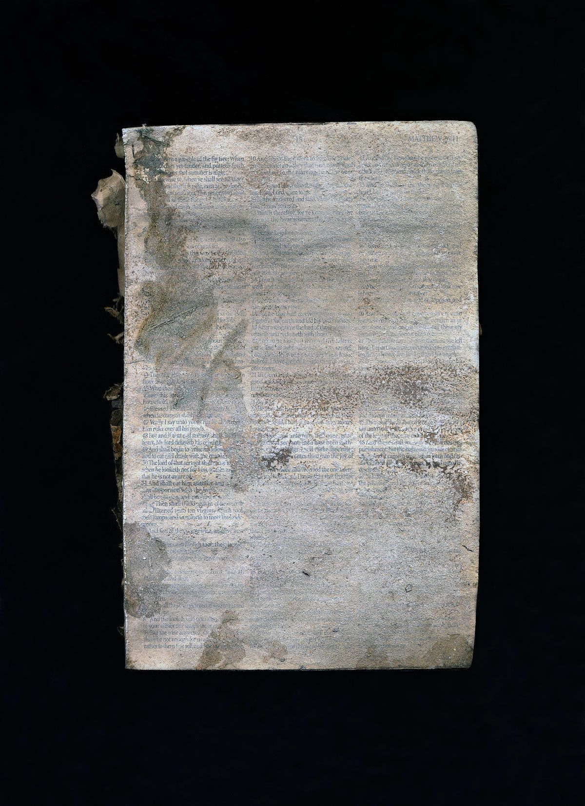 1parableofthefigtree_copy