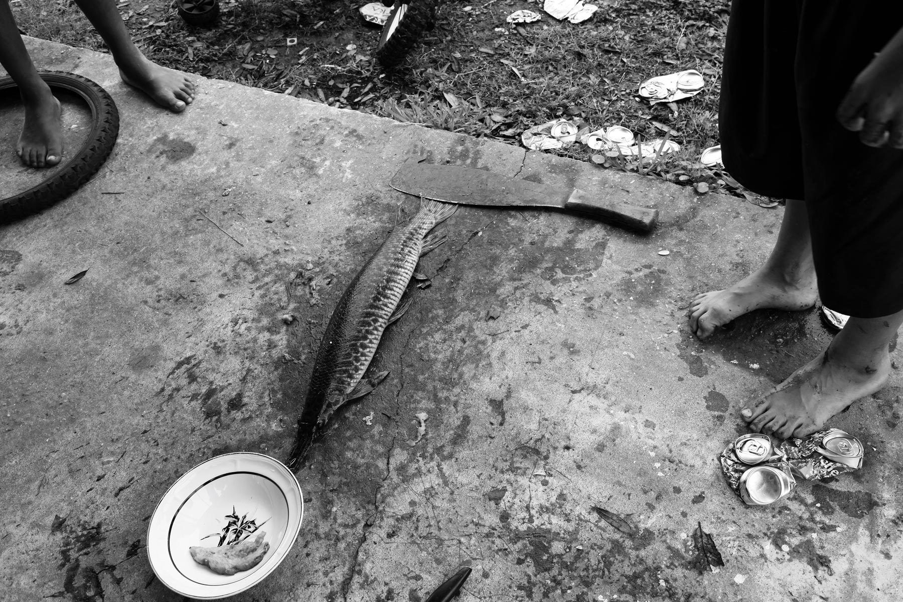 Ryan's Gar, Pointe-au-Chien, 2012