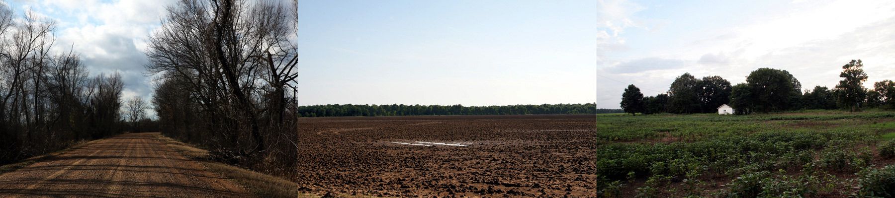 Delta Devolution Theory #8 (Homage to Mose Wright) 2010