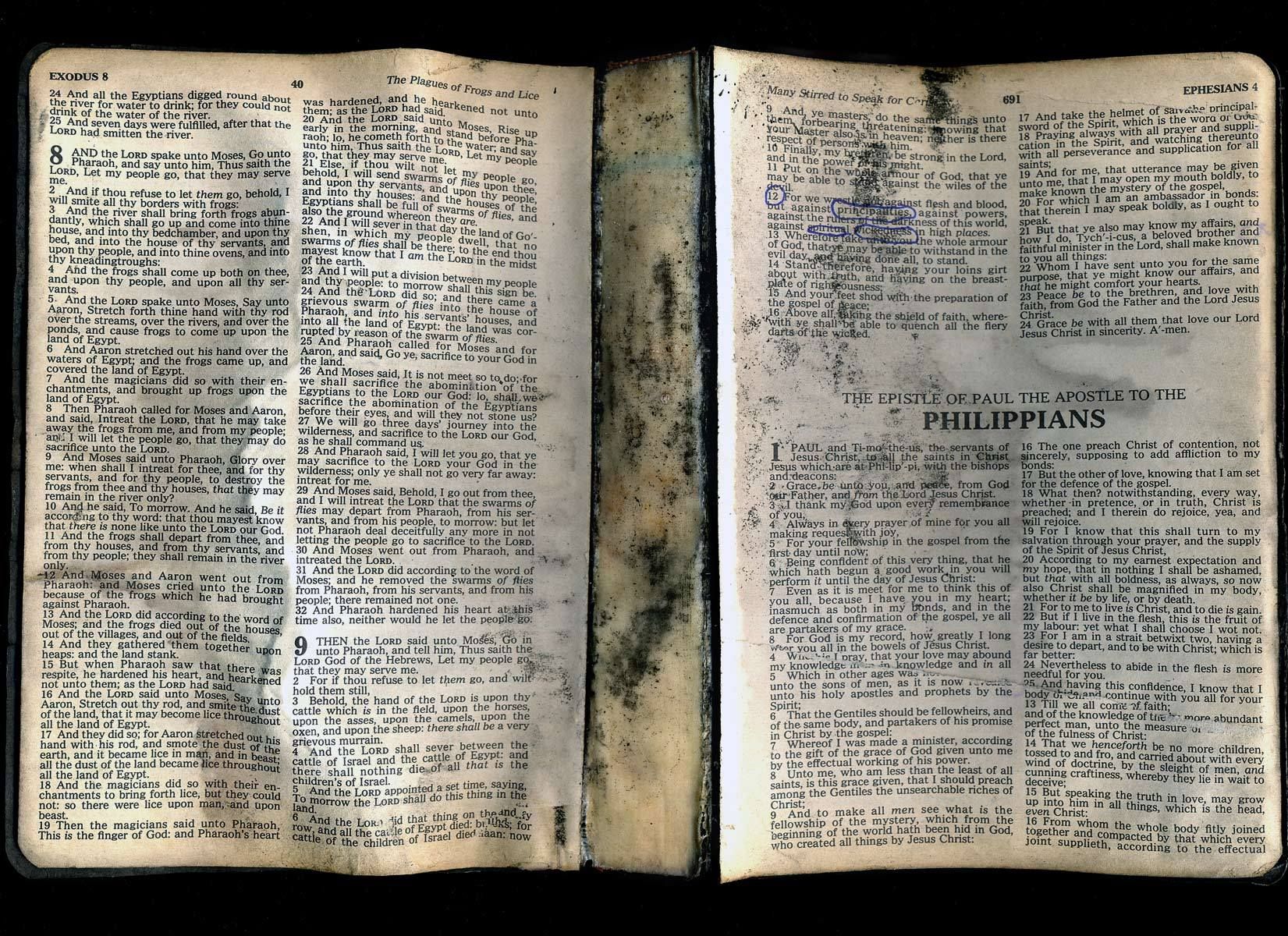 1plague_of_frogs_and_lice_