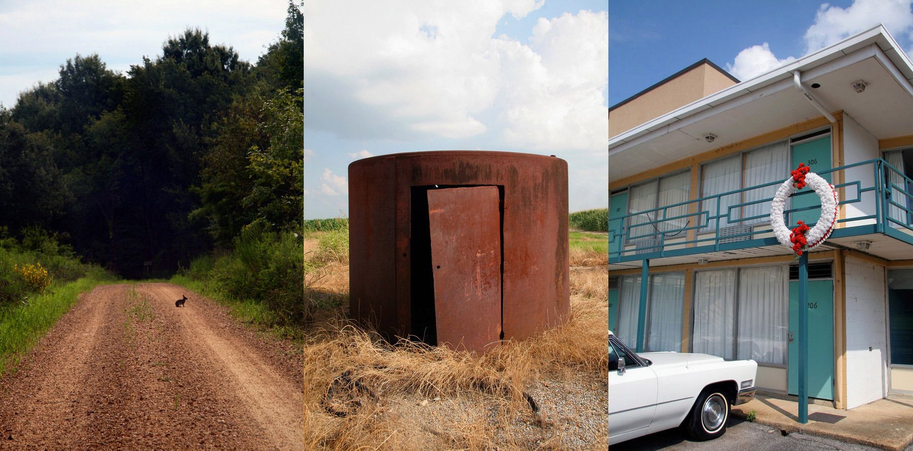 Delta Devolution Theory #3 (Homage to Martin) 2010