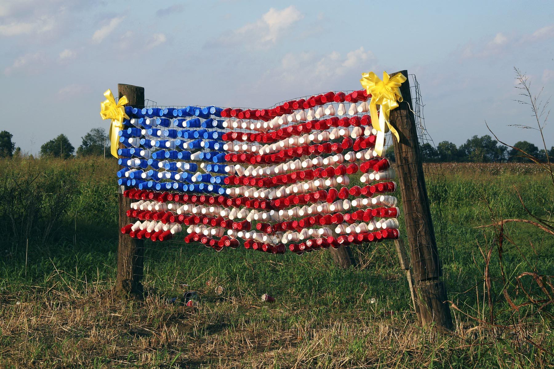 Cup Flag, Panther Burn, 2007