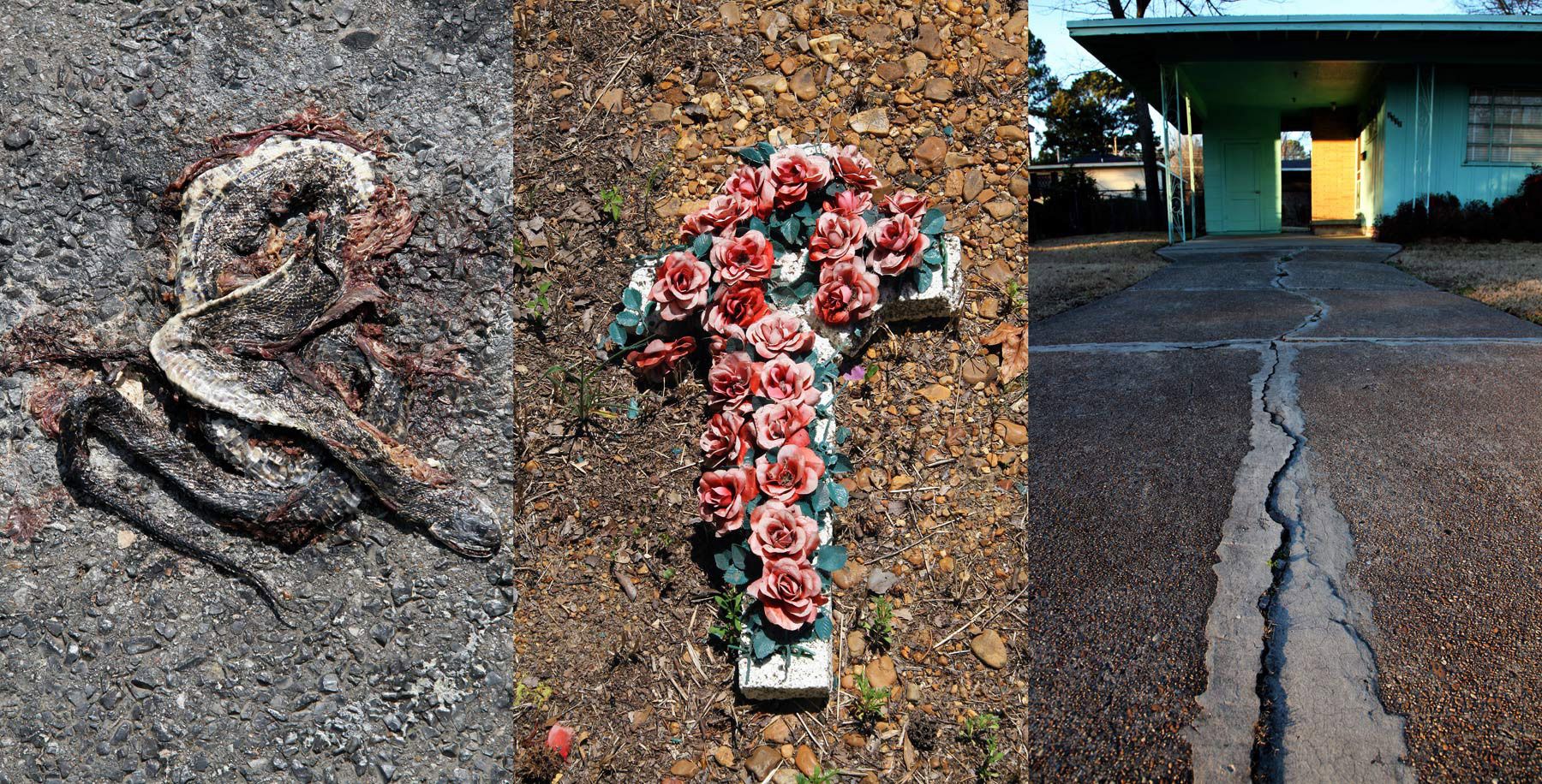 Delta Devolution Theory #2 (Homage to Medgar) 2010