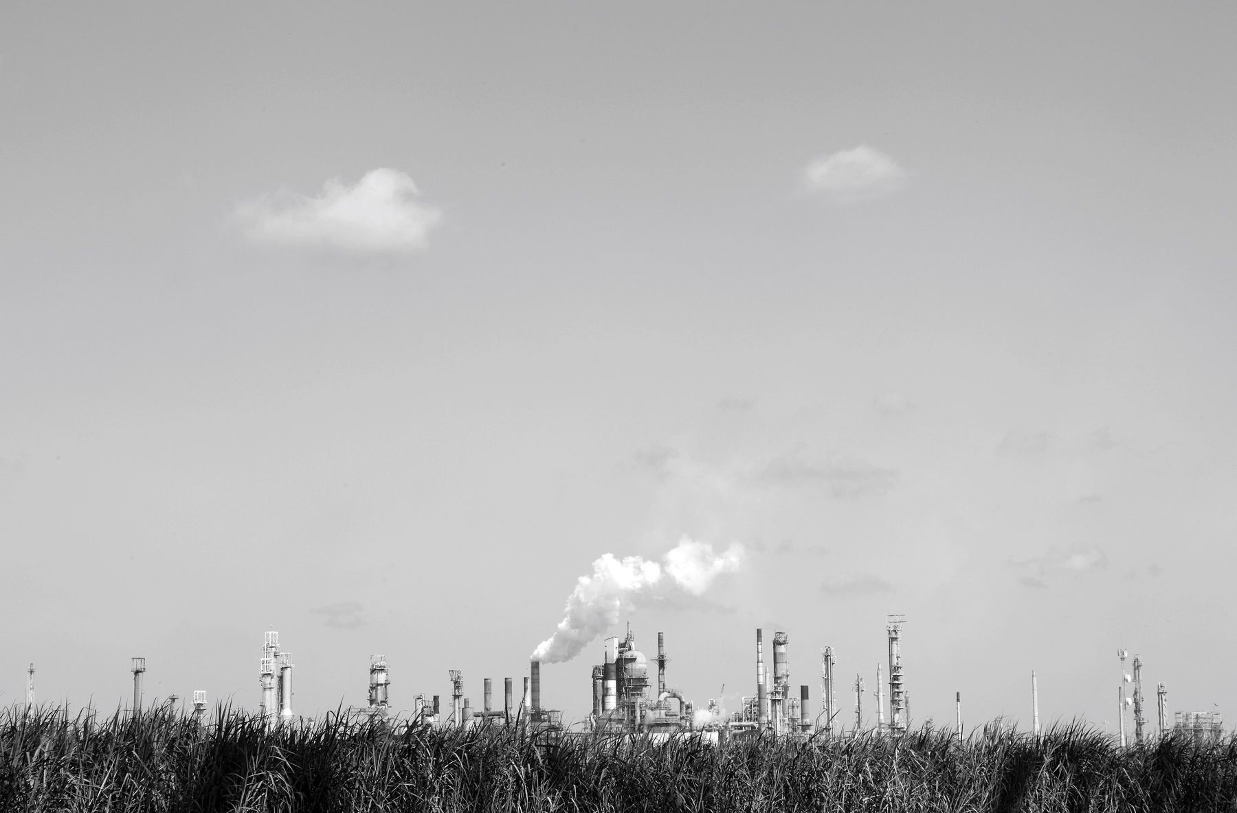 Sugar and Smoke, 2011