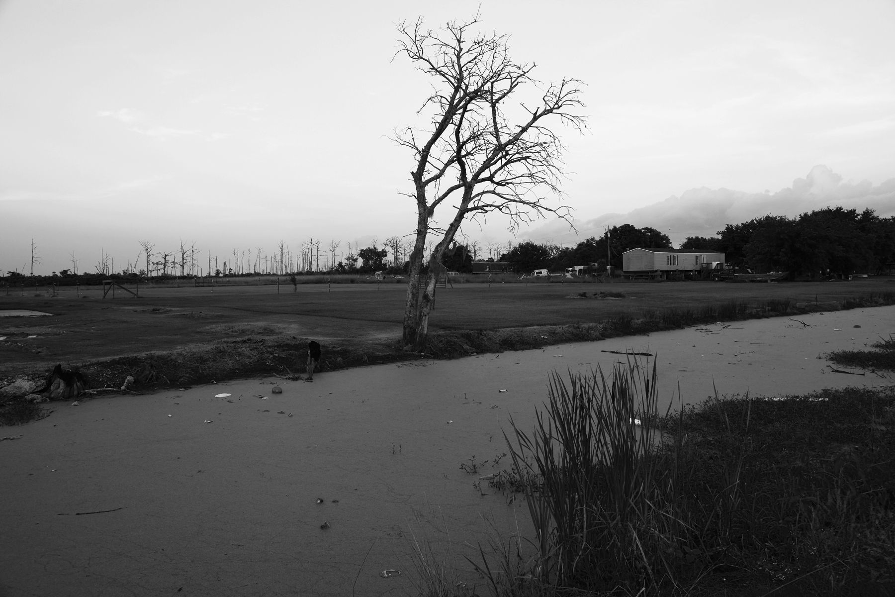 Mid Bayou, Pointe-au-Chien, 2013