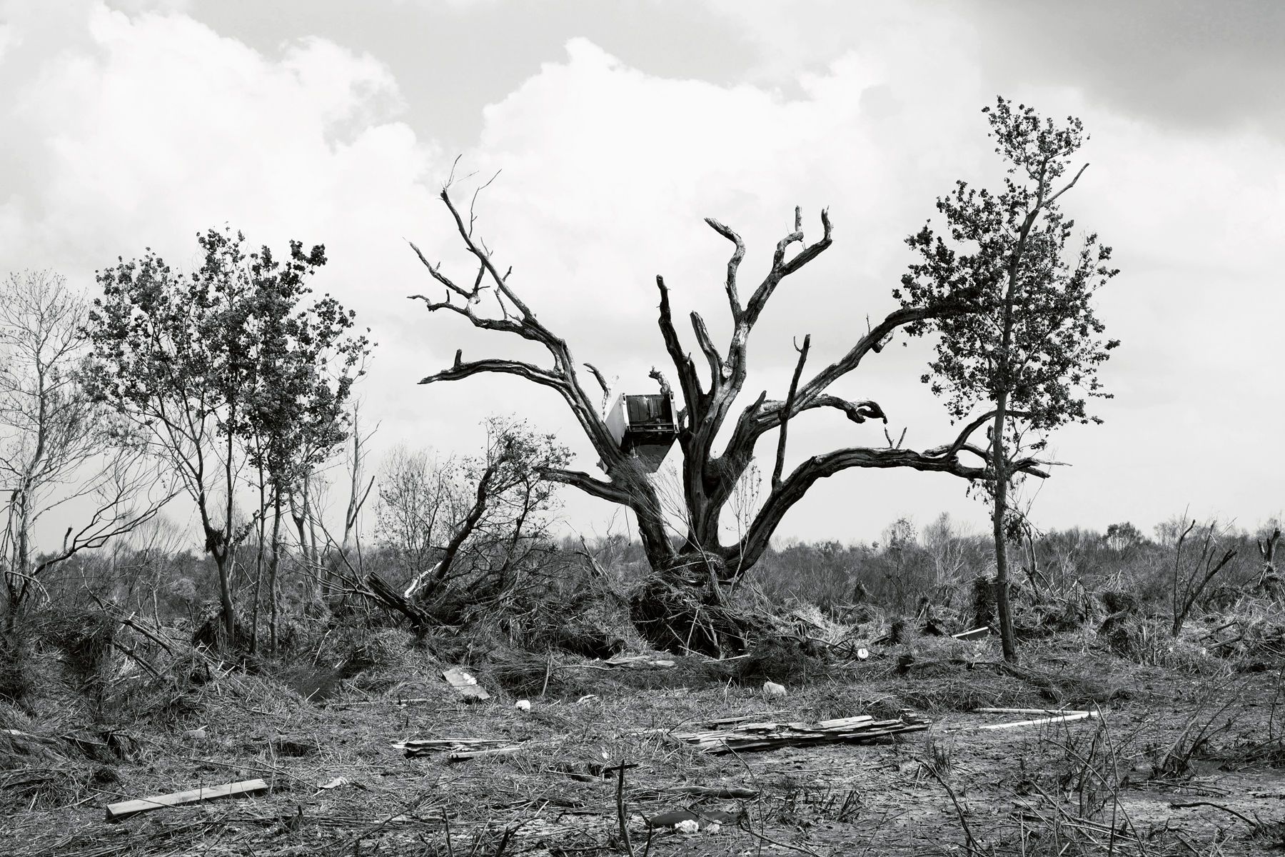 After Katrina, After Isaac, near Delacroix, 2013