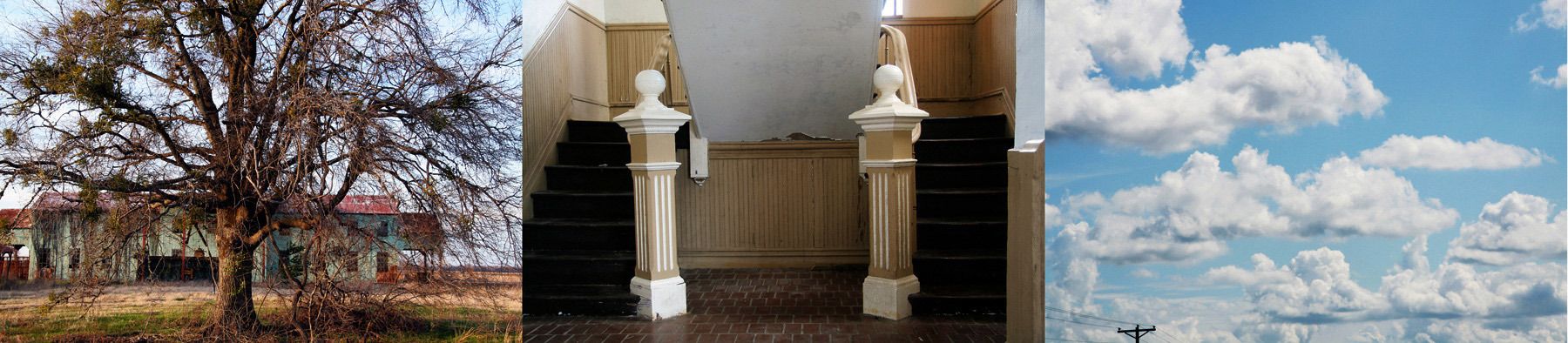 Delta Devolution #7 (A Verdict in Sumner) 2010