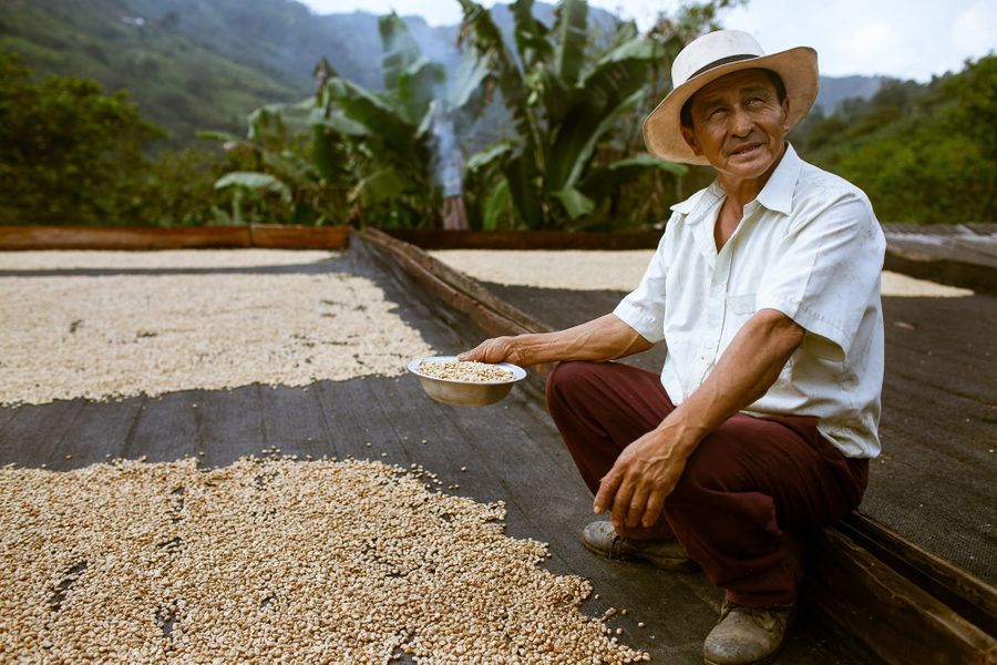 Colombian Coffee Farmers - Mark Burnham Photography