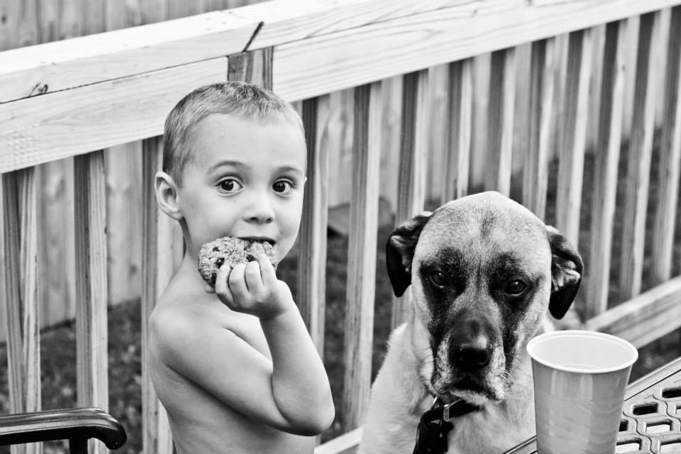 1r11755075_967641646611740_1130945208587364047_n