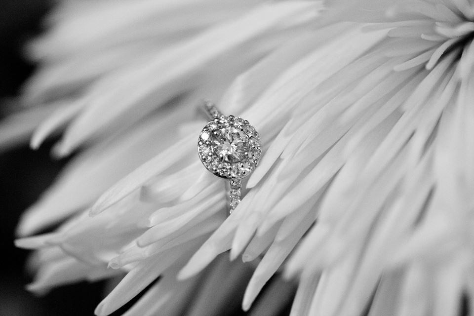 1r10346314_835015019874404_2289021560916321608_n