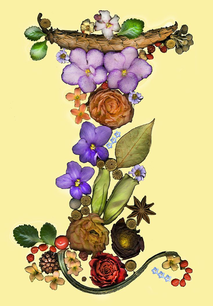 1_lo_res_letter_i_variant