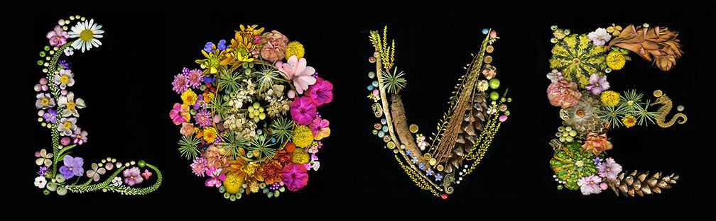 1long_love_scarf_closer_letters_lo_res_for_website