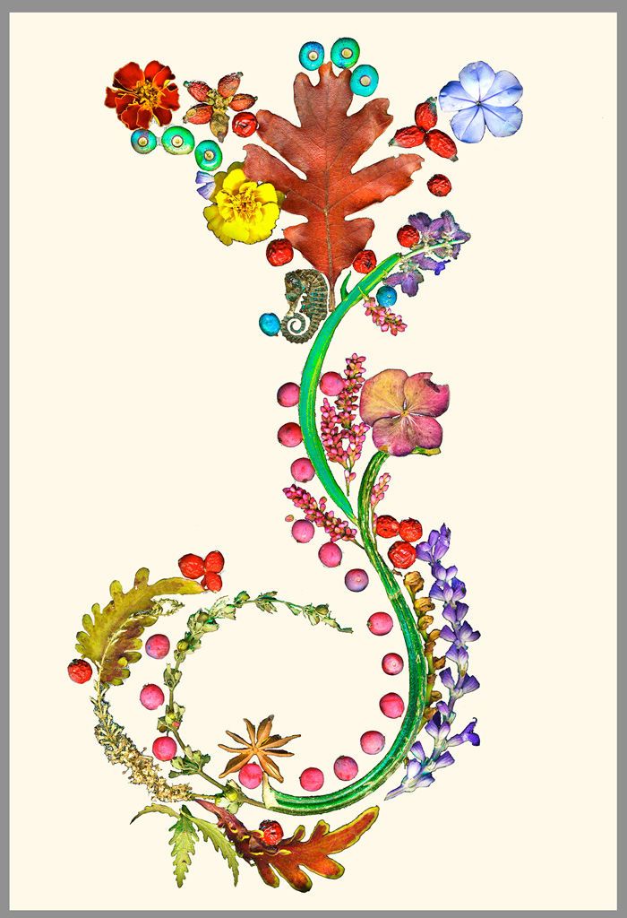 1letter_j_2__002_ivory_bgd_grey_border_lo_res_1024