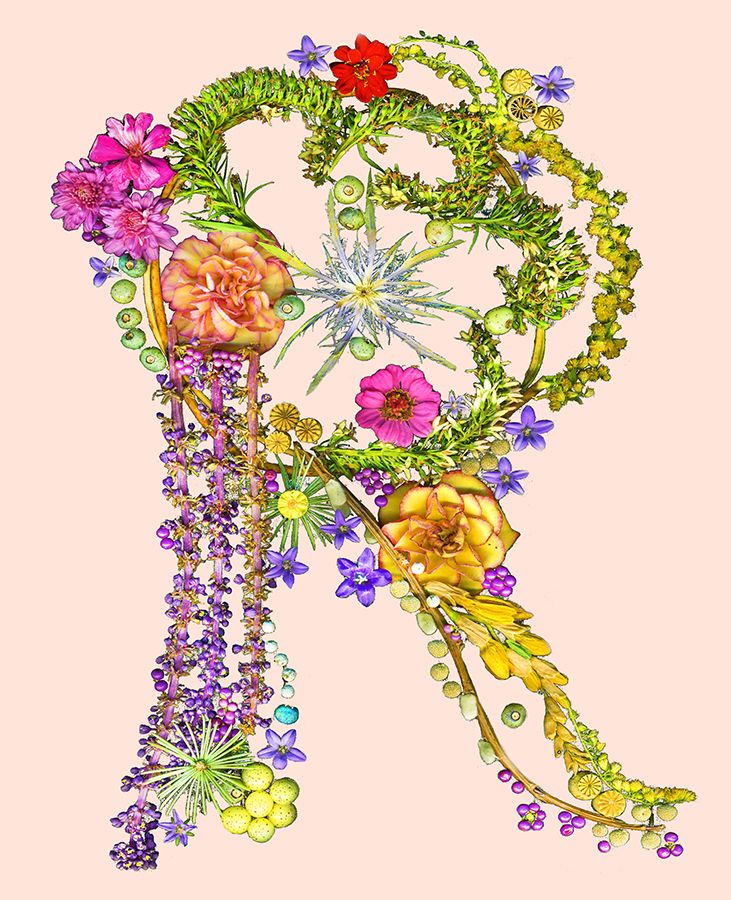 1lo_res_r_peach_letter