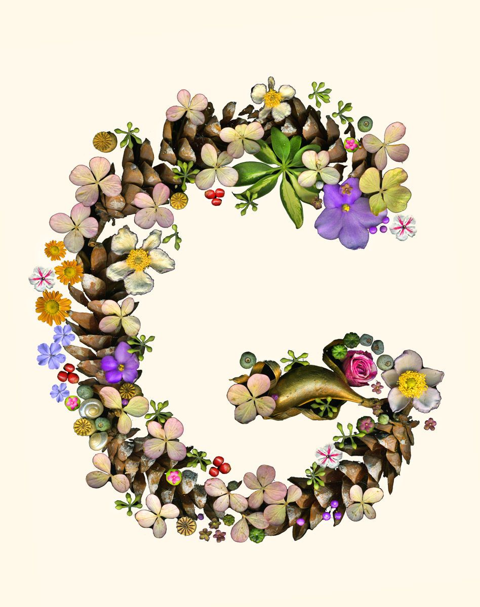 1letter_g_cleaned_up_ivory_lo_res