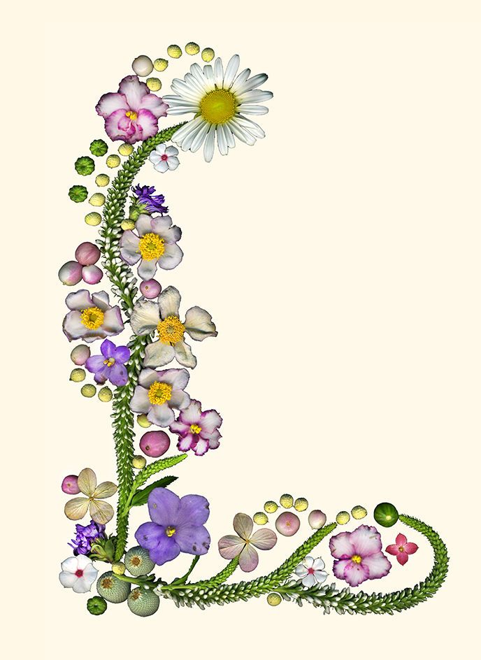 Laura's Letter L  001