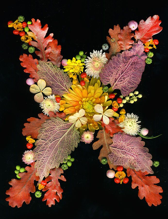 Letter X 001 brightened copy